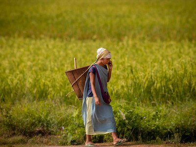  Programa mujeres rurales para fortalecer la economía local