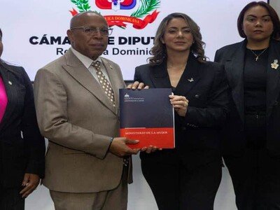  El proyecto de ley Mirabal establece sanciones por violencia vicaria