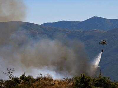  Incendios queman bosques en Europa atizados por el calor extremo