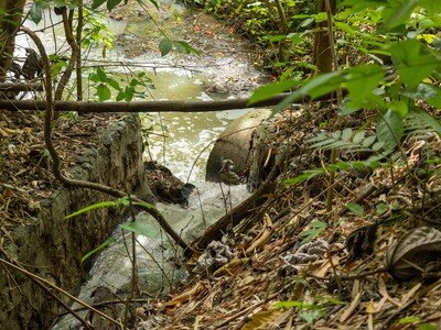  Inoperancia de plantas de tratamiento  genera crisis sanitaria