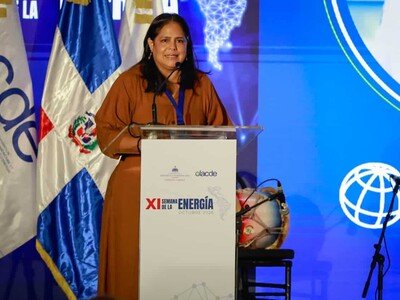  Llaman a construir sistemas eléctricos más resilientes