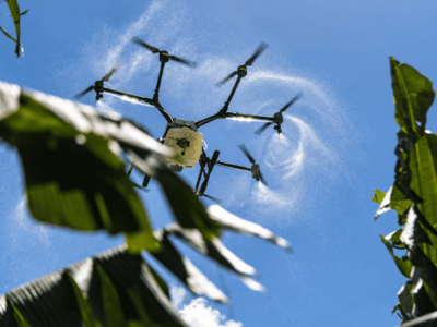  Sector agropecuario en República Dominicana pide tecnología y relevo
