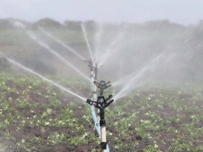  Sequía golpea al sector agropecuario en República Dominicana